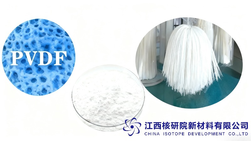 Polyvinylidene Fluoride PVDF CIDP03 Ultra /Micro Filtration Membrane CAS:  24937-79-9
