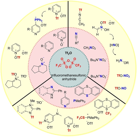 A useful reagent: Trifluoromethanesulfonic anhydride